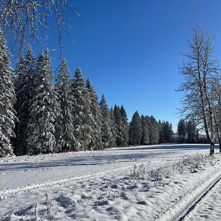 Haus Aktiv Top2 * Winterberg
