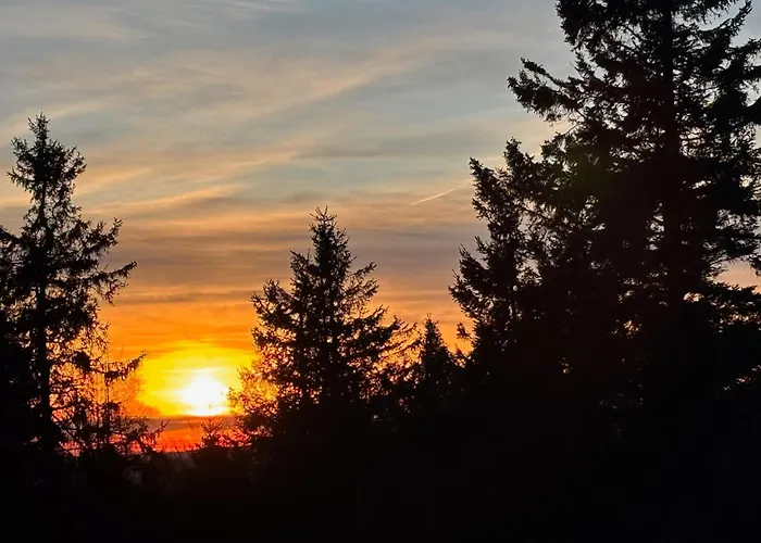 Apartment Haus Aktiv Top2 *