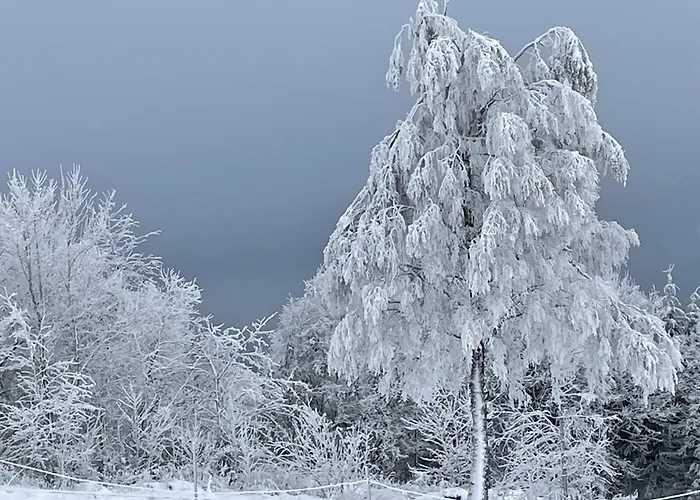 Haus Aktiv Top2 Apartment Winterberg
