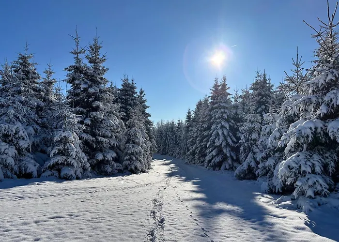 Apartment Haus Aktiv Top2