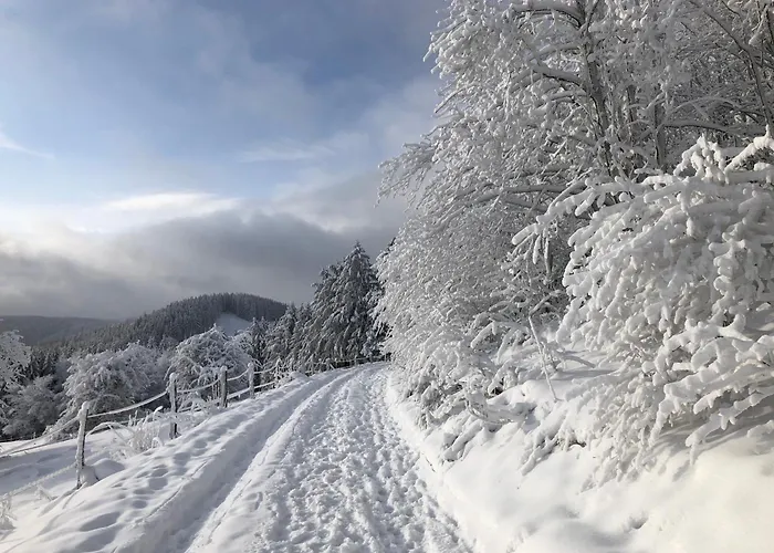 Apartment Haus Aktiv Top2